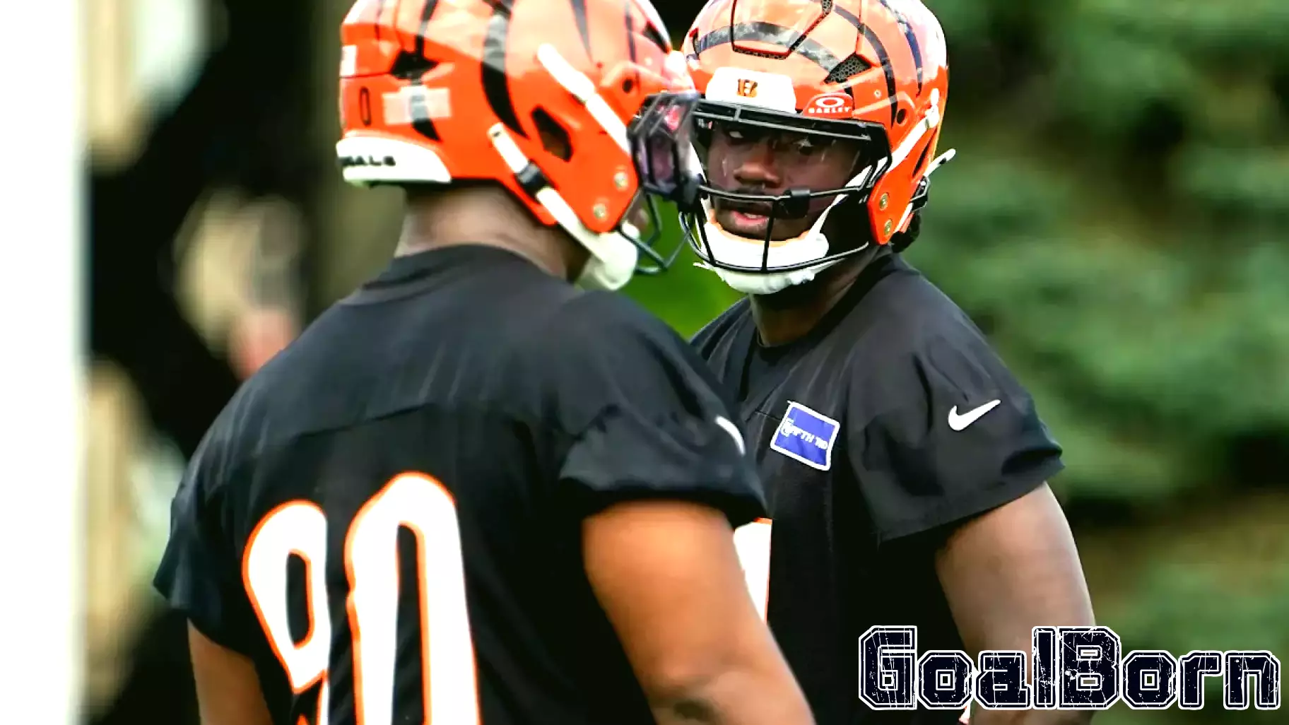 Bengals call off minicamp early