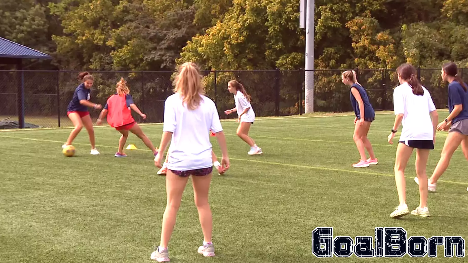 Campaigns raise money for and against girls' sports, parents' rights issues on Nov. ballot