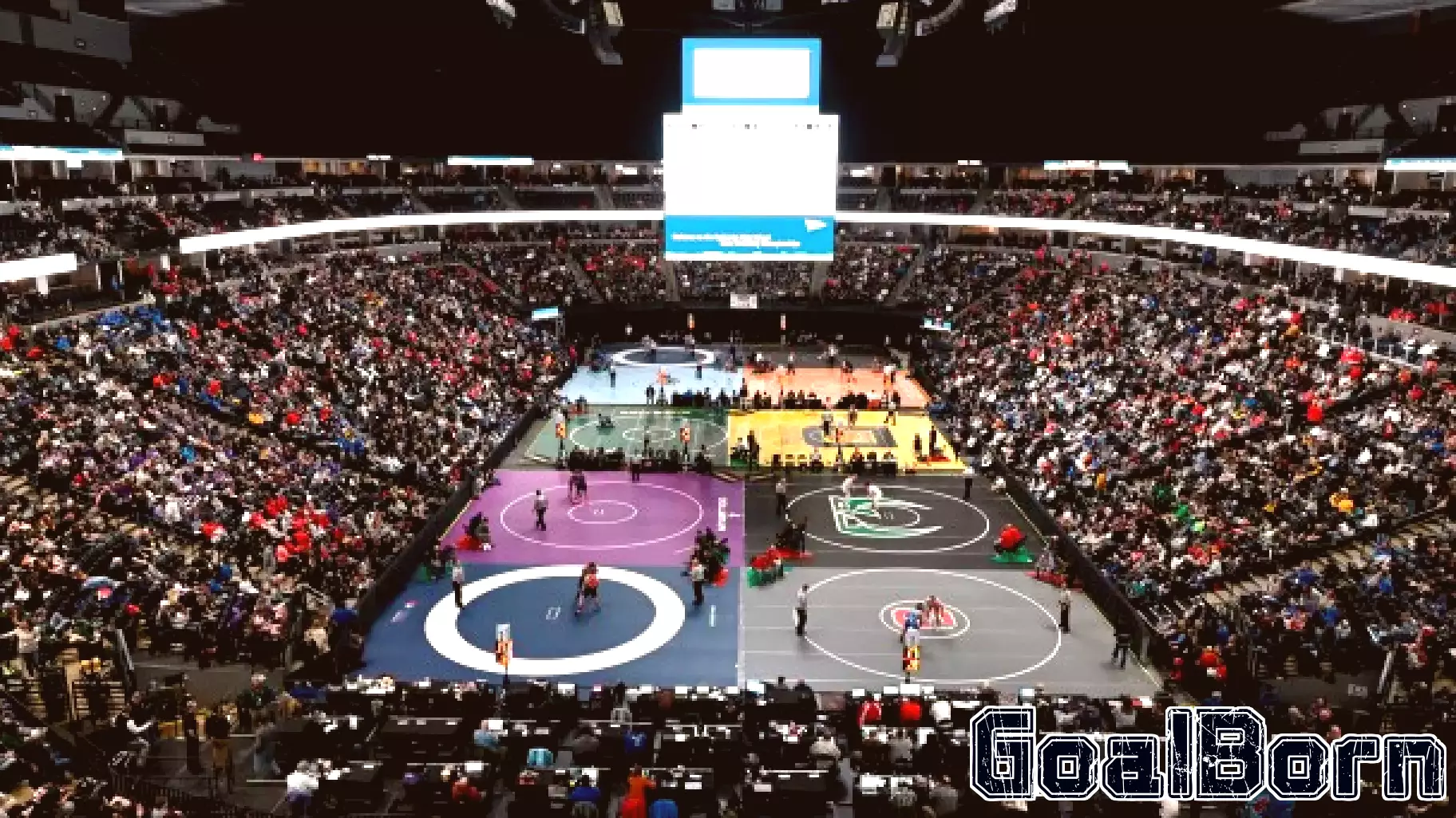 Colorado Educators Urge CHSAA to Prohibit Transgender Athletes in Girls Sports