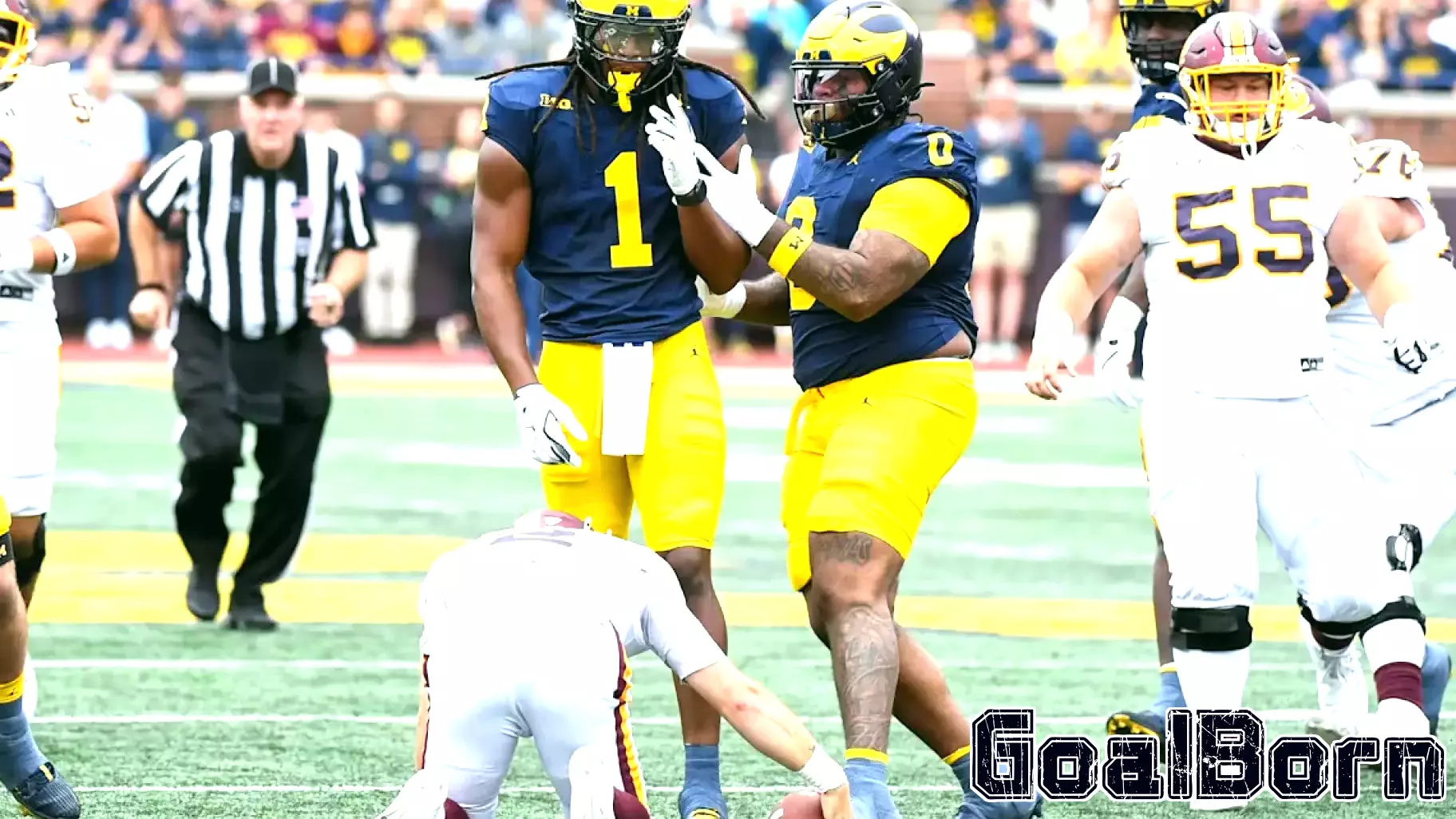 NFL Draft Profile: Michigan Football DL Tre Williams