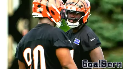 Bengals call off minicamp early