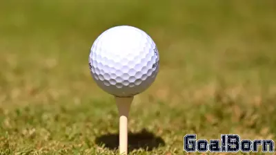 Black Friday Sports Extravaganza: A Day for Fans