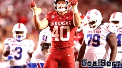Buffalo Bills Find Potential Star in 2025 NFL Draft